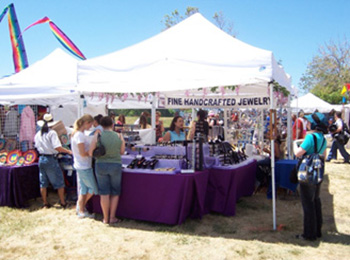 Berryessa Music Boosters & Berryessa Art & Wine Festival